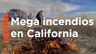 California USA: fuego contra fuego | ARTE.tv Documentales