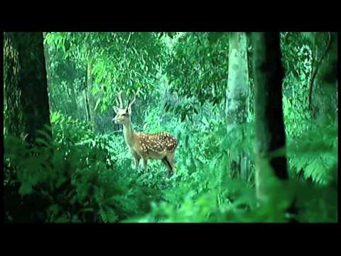 Takeshi Kaneshiro (金城武)- New CF - 爽健美茶 Sokenbicha