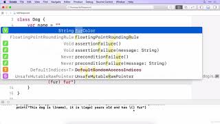 The 10 Day iPhone App Bootcamp - NEW iOS 12 and Xcode 10 : Methods