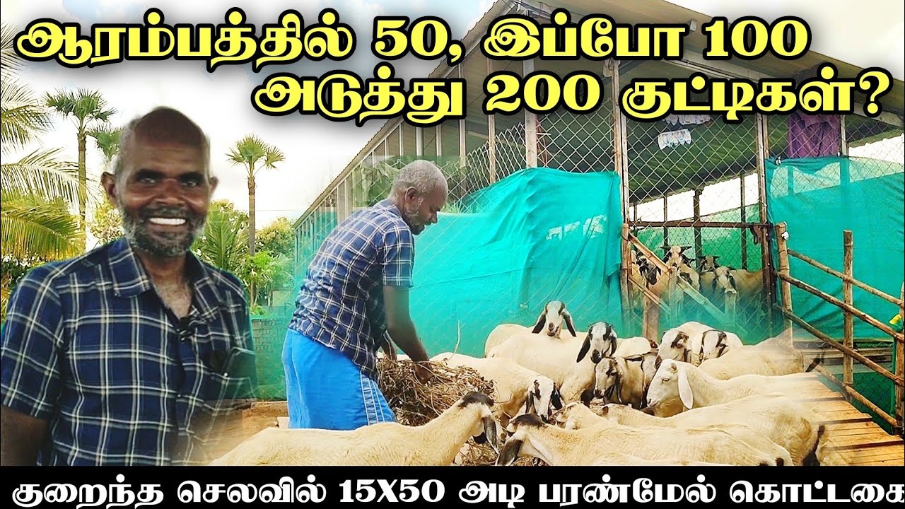ஆட்டுப்பண்ணை இப்படித்தான் ஆரம்பிக்கணும்! குறைந்த செலவில் பரண் அமைக்கலாமா?#goat #farm #farming #horse