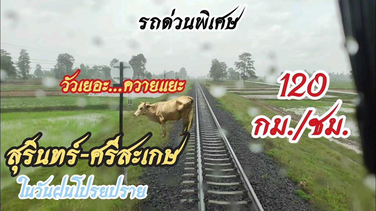 สุรินทร์-ศรีสะเกษ ขบวนรถด่วนพิเศษที่21
