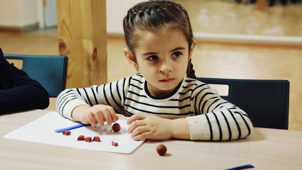 School of Creative Evolution FADAT