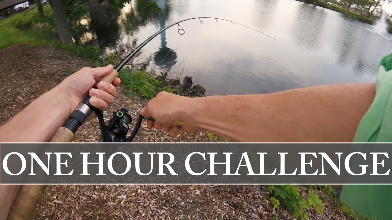 One HOUR fishing Challenge YouTube