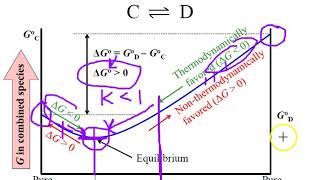 Equilibrium III Lecture 20 Video