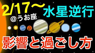 将来の計画をもう一度見直す期間！うお座水星逆行の影響とアドバイス！【2020/2/17〜3/10 魚座】