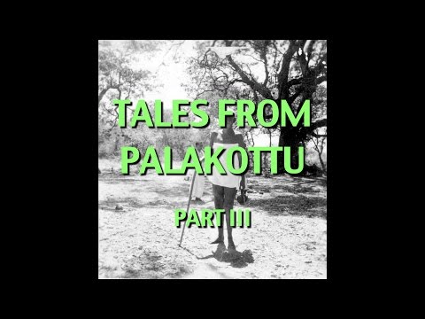 Talks on Sri Ramana Maharshi: Narrated by David Godman - Tales From Palakottu (Part III)