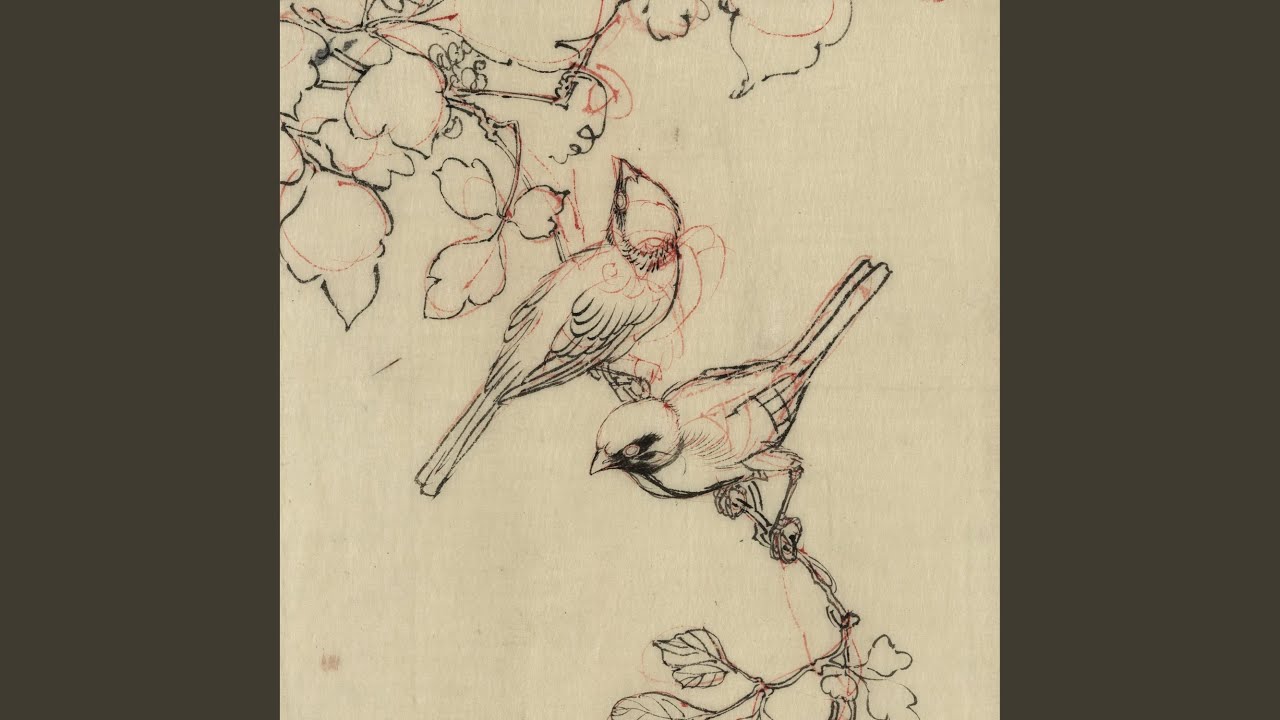 Driftwood (Inanimate)