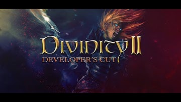 Divinity II - Developer