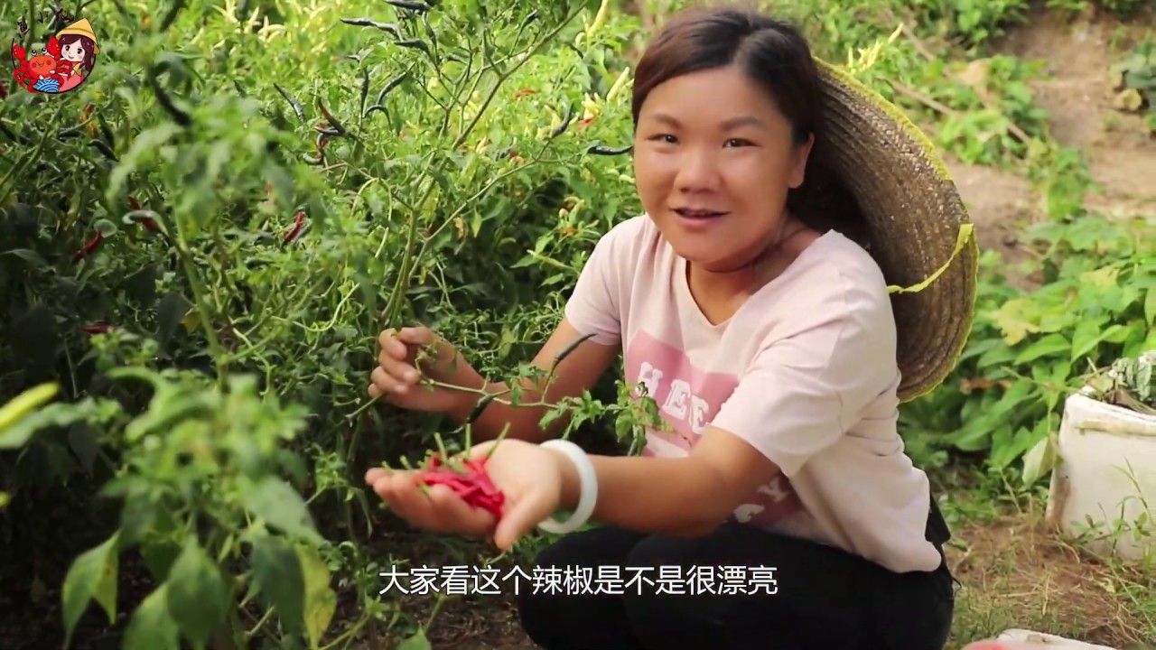 農村姑娘去菜園摘辣椒，媽媽拿去市場賣，朝天椒能賣4塊錢一斤 【渔小仙】