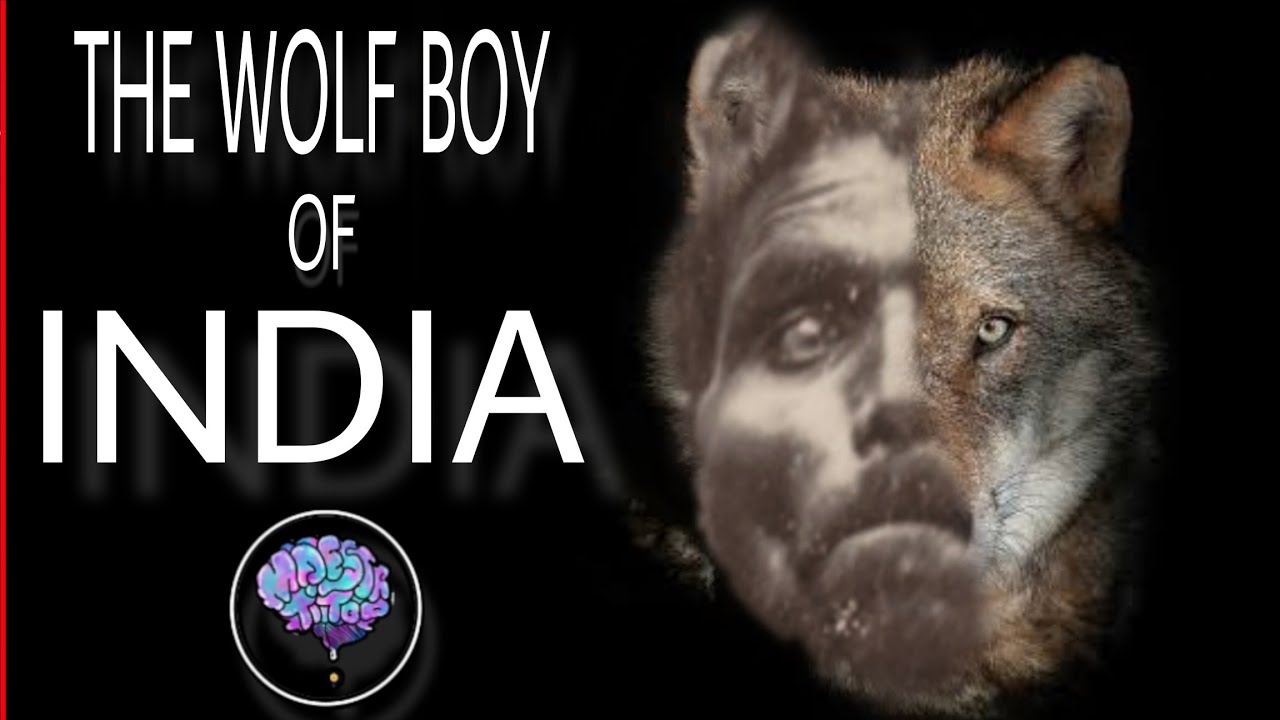 Raised by WOLVES! | Ang trahedya ni Dina Sanichar, ang real life Mowgli ...