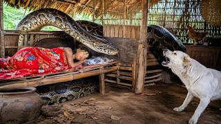 72 Hours of Terror: Giant Python Invades the Farm While Girl Is Sick | Terrifying Nightmare Begins!