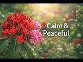 Gentle Flower Garden – Relaxing Nature Sounds &amp; Soft Ambient Music 🌺🍃