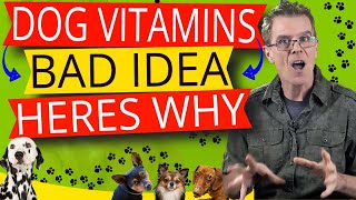 7 Reasons Not to Feed Your Dog Vitamins (Feed This Instead)