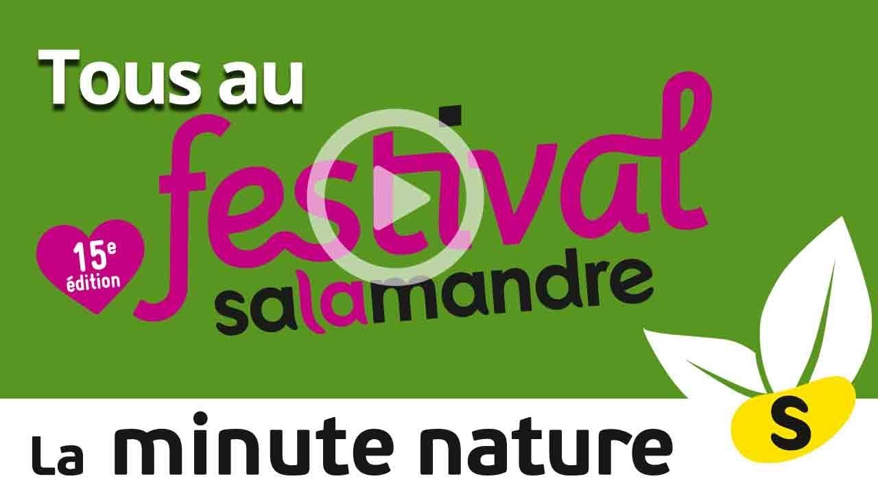 la salamandre e chaboche TOUS AU FESTIVAL SALAMANDRE! (No 60)