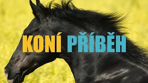 Co bychom chtěli vědět o Nekonečném příběhu?