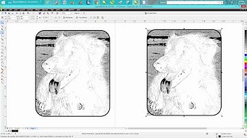 Corel Draw Tips & Tricks Powerclip a photo