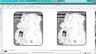 Corel Draw Tips & Tricks Powerclip a photo