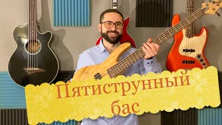 Пятиструнный бас (особенности, основные отличия, зачем нужен)