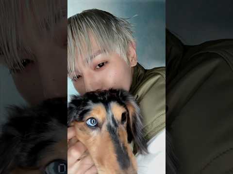🐕🐕🐕 #TAEYONG #태용 #WYLD #TAEYONG_WYLD #NCT #NCT127 #NCT_10TH_ANNIVERSARY