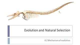 Mechanisms of Evolution | Evolution and Natural Selection