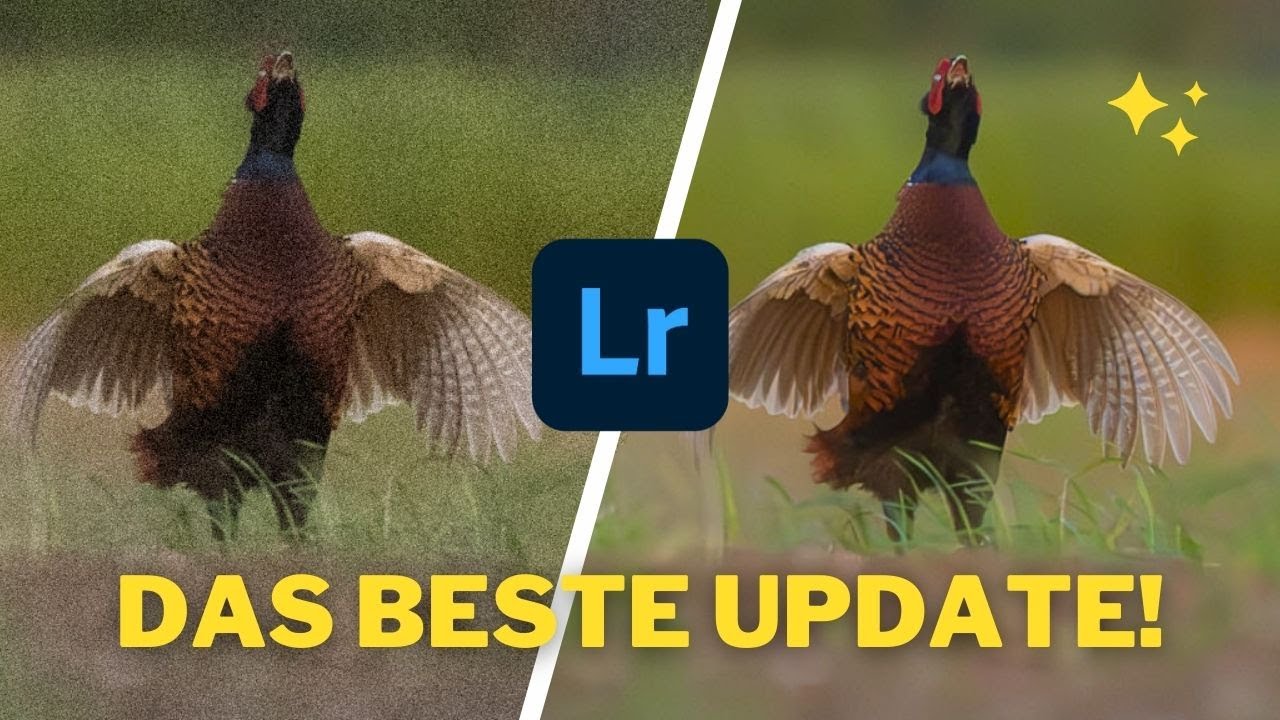 Magisches Entrauschen mit Adobe Lightroom Denoise!