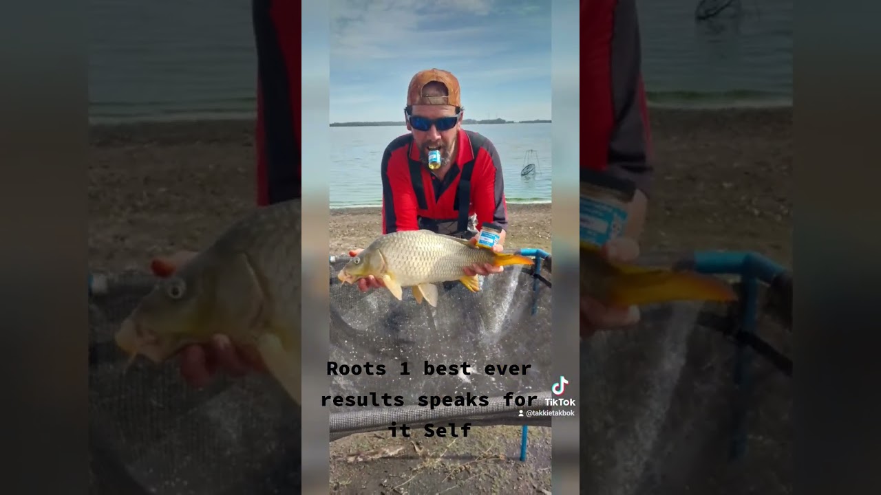 Roots 1 is your number one Dip that's a must-have