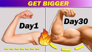 5 Simple exercise to build bigger Arms!