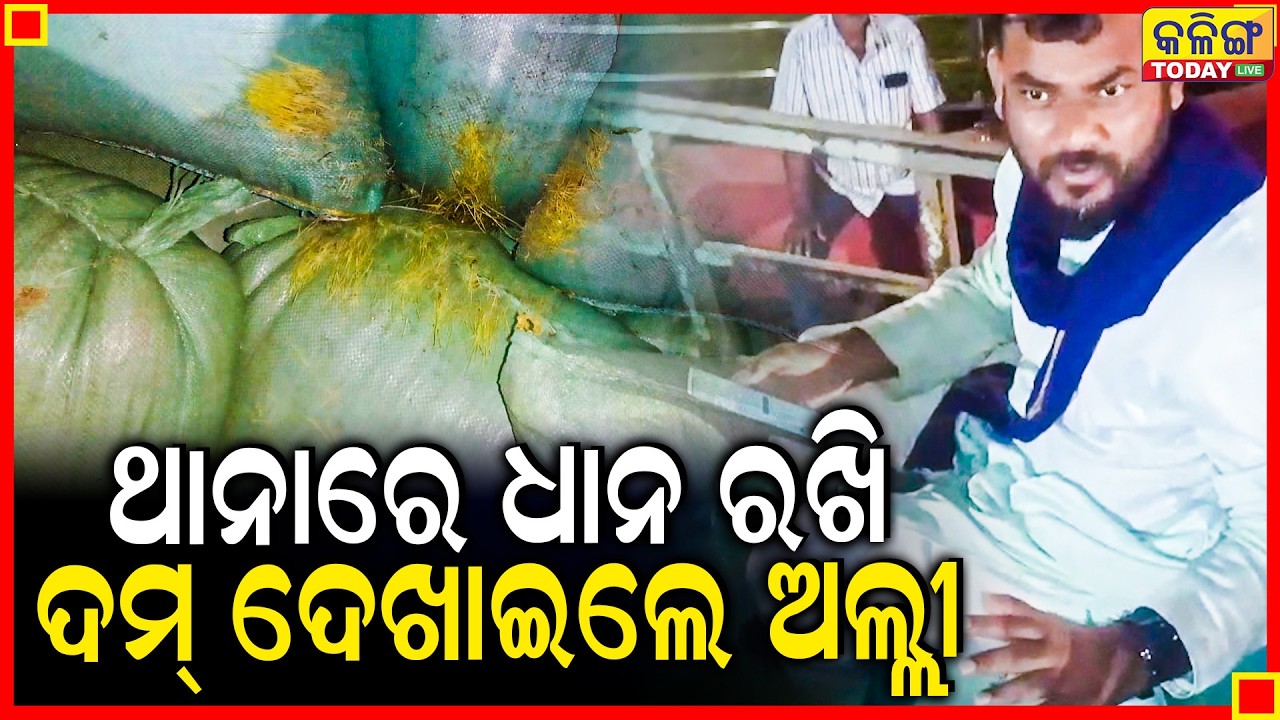 କ୍ୟାପିଟାଲ ଥାନା ଆଗରେ ଧାନ ରଖି ପ୍ରତିବାଦ କରିଲେ ଅଲ୍ଲୀ ।। Kalinga Today Live ।