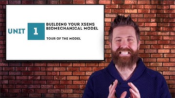 Visual3D Basics for Xsens - Tour of the Biomechanical Model
