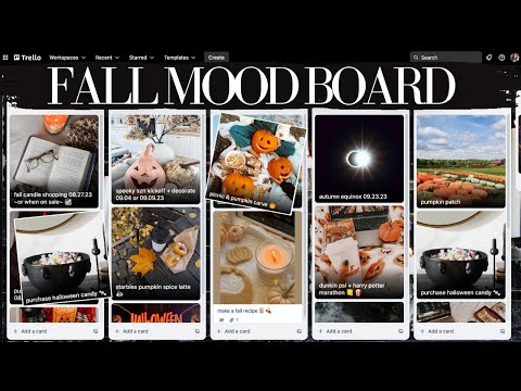 what to do to have the perfect fall 🍁🧣🎃