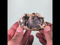 Vidéo: Calcédoine, Charroux, France, 122 grammes