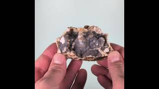 Video: Chalcedony, Charroux, France, 122 grams