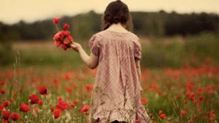 [Romantic song] Instrumental - Million Roses (Triệu triệu đóa hồng) chords
