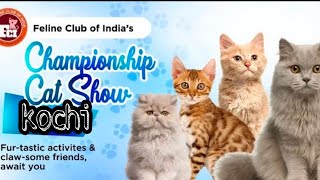 biggest cat show in kerala 2023 malayalam@catsworld1469j by cats world 524 views 6 months ago 9 minutes, 51 seconds