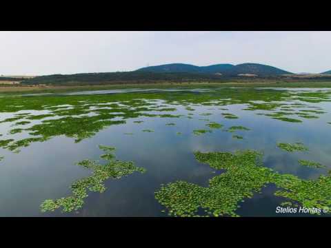 Paralimni Lake, Παραλίμνη