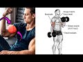 Bicep Workout With Dumbbells | Arm Workout With Dumbbells | Bicep And Tricep Workout