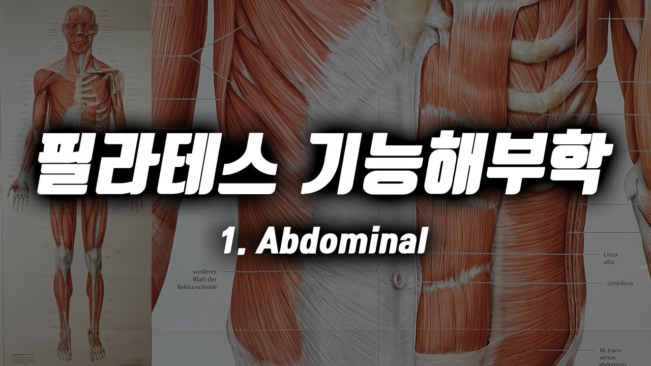 필라테스 기능해부학ㅣ1.복근 Abdominal