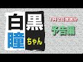 白黒瞳ちゃん公式ちゃんねる Youtube
