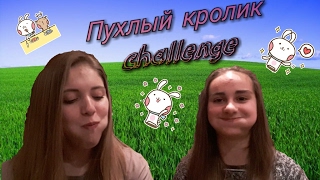 ВЫЗОВ ПУХЛЫЙ КРОЛИК! | CHUBBY BUNNY CHALLENGE! |