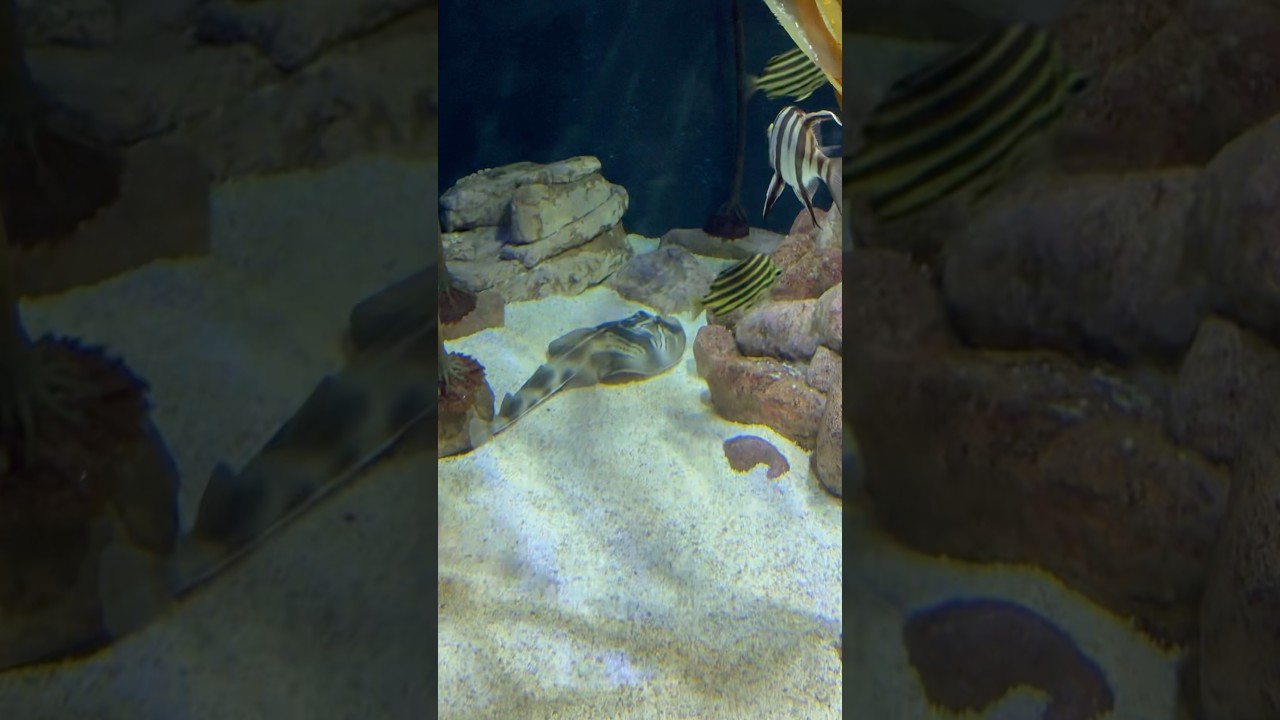 We could have spent all day here 