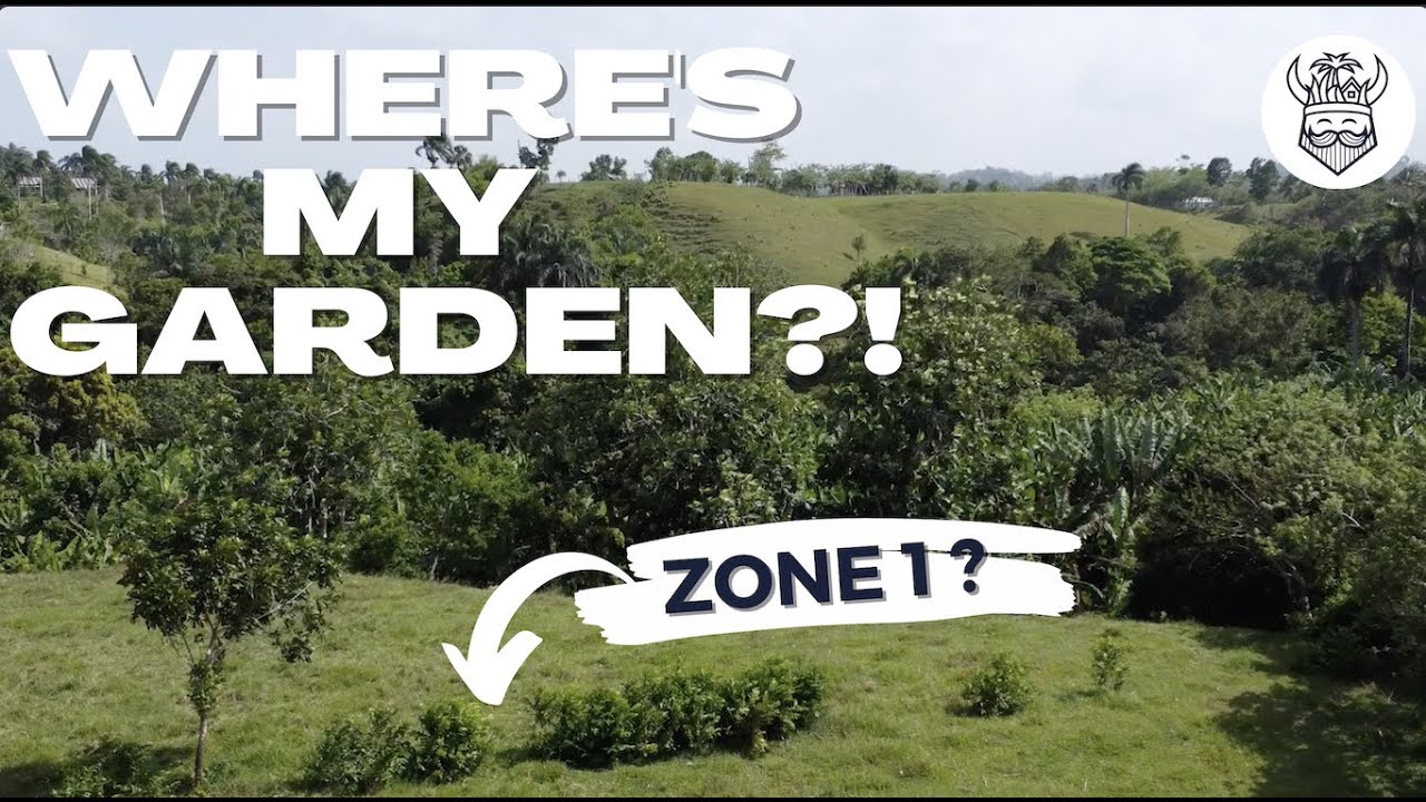 Ep #9 -- Finding The Zone 1 On My Dominican Farm (Permaculture principles)