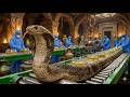 Inside a Snake Bioprocessing Factory  From Venom for Medicine and Leather  Inside The Jungle Factory