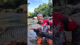 Hampala Ak Temanggung Hst