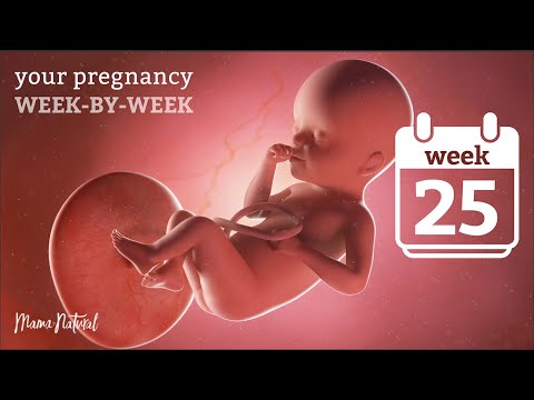 Video: 25 Weeks Of Pregnancy: Sensations, Fetal Development