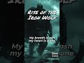 The Gods Are Silent, I Fight Alone - Rise of the Iron Wolf | Dark Epic Viking Music