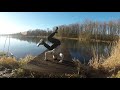 Фризы - Turtle, Baby, Headstand