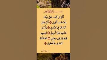 سورة الفيل 📖❤️#سورة_الفيل #القران_الكريم #اكسبلور