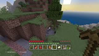 Minecraft: PlayStation®4 Edition_20190823230811