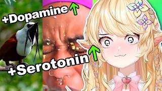 35 Year Old Vtuber Reacts to Videos that Will Restore Your Faith in Humanity