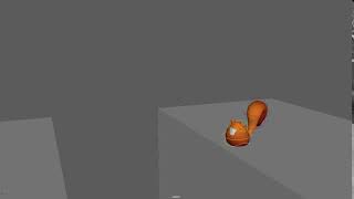 Squirrel Test Animation